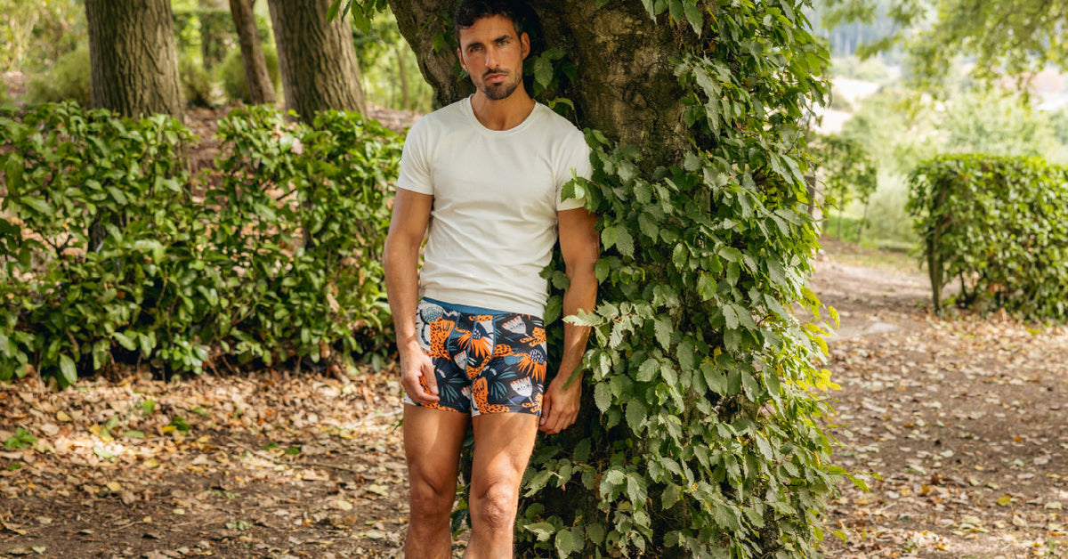 Boxer Modal Coton