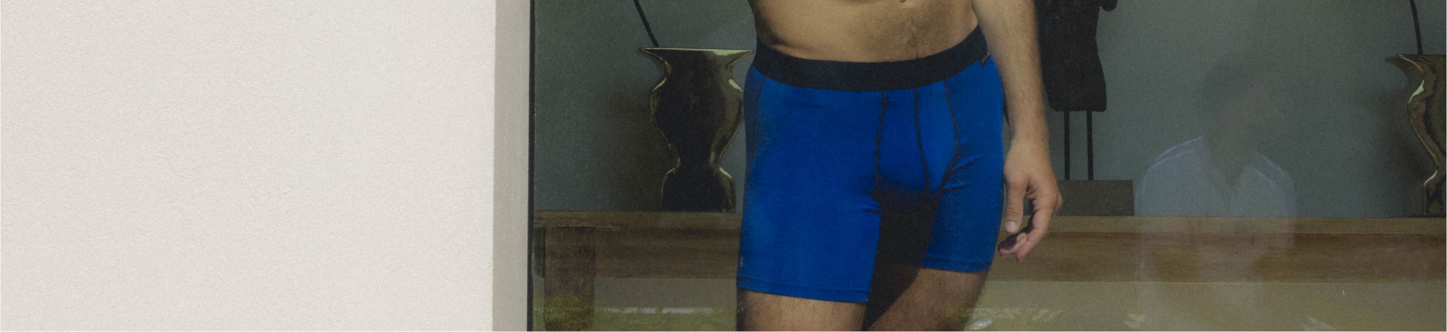 Boxer Modal 95%