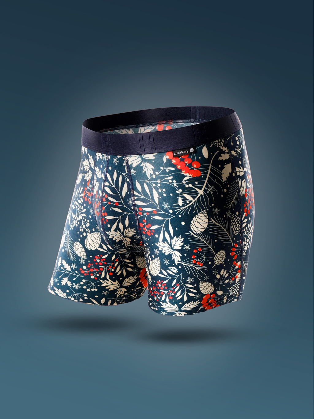 NOUVEAUTÉS LOIC HENRY