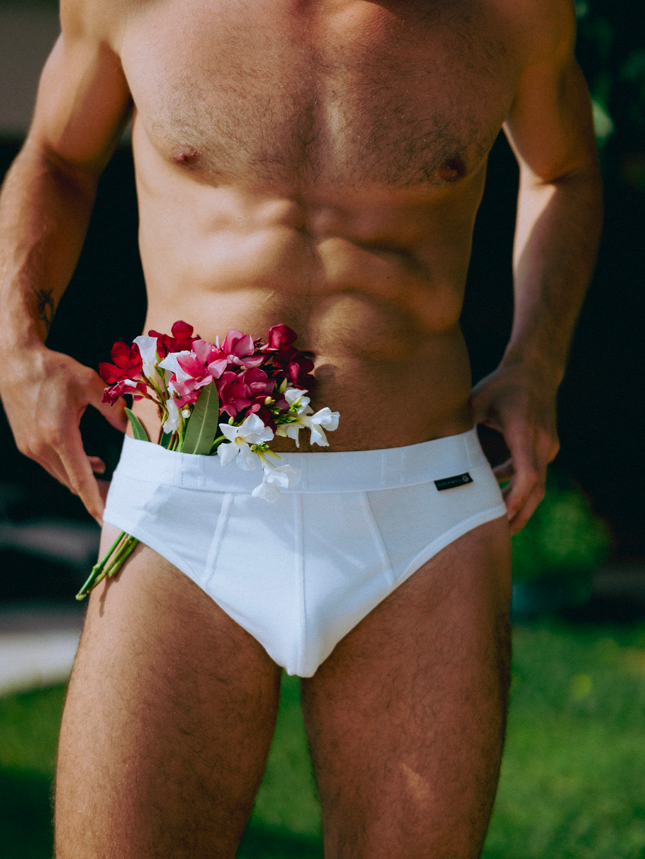 WHITE BRIEFS