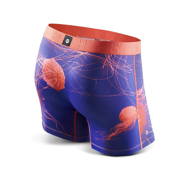 JELLYFISH