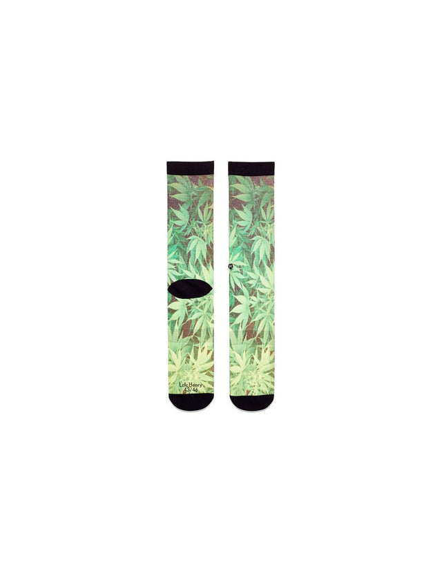 CANNABIS SOCKS
